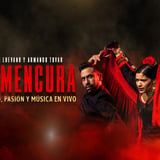 Flamencura "El Latido de la Tradición"