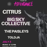Big Sky Collective, Citrus, The Paisleys, Toldja
