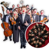 Das Rainer Hersch Orkestra (GB) - A Very British Christmas