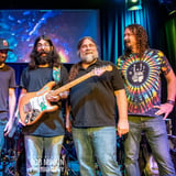 Terrapin Flyer