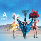 The Adventures of Priscilla, Queen of the Desert (Film)