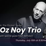 In the Pocket: Oz Noy Trio + Peter Bernstein