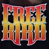 Freebird - Atl - Lynyrd Skynyrd Tribute