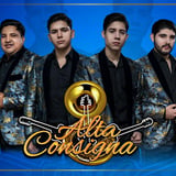 Alta Consigna