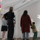 Primary Succession - Exhibition Tour