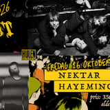 ROCKOUT 2026 || 40 års Jubileum