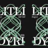 Litli Dýri