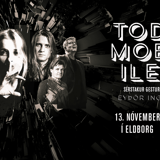 TODMOBILE – HÁPUNKTAR