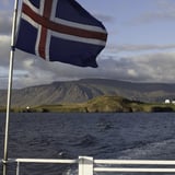 Pólsk leiðsögn í Viðey