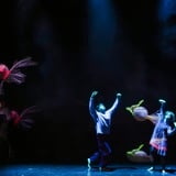 "Stage of the Arts México & Compañía Flotante, La ópera de los monstru