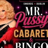 M. Pussy Live in Swords - Sept 26