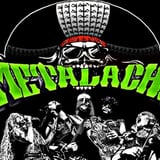 Metalachi