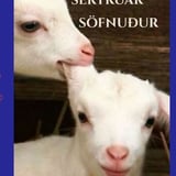 Systkinasértrúaðarsöfnuður - Krummafótur sviðslistahátíð