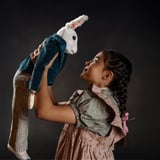 The Miraculous Journey Of Edward Tulane (CBT)