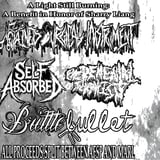 Retained Surgical Instrument, Self Absorbed, Excremental Scaphism, Brittle Bullet