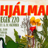 Hjálmar á Ægi 220