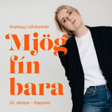 Mjög fín bara - Snjólaug Lúðvíksdóttir uppistand