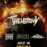 Tracheotomy, Breach Of Peace, Katana, and Drosera in Bradenton