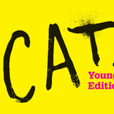 SCC Youth Theatre Program presents "CATS: Young Actors Edition"