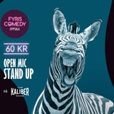 Kulturnatten special! Fyris Comedy Stand Up – Open Mic på Kaliber Room