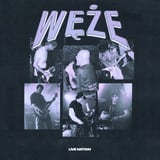 Węże