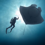 The Last Dive: San Diego Premiere