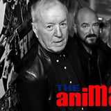 The Animals (UK)—The House of the Rising Sun Tour