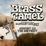 Brass Camel, Elephant Gun Riot
