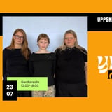Uppskerudagar Skapandi sumarstarfa 2026: YMJA með öllu