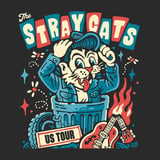 THE STRAY CATS