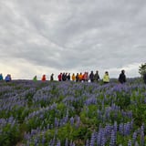 Sumarganga | Vatnsendahlíð