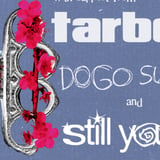 Letdown, Tarbox, Dogo Suicide, Still Youth