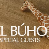 El Búho