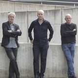 The Necks