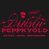 PEPPKVÖLD DRUSLUGÖNGUNNAR