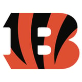 Preseason Game 1: Cincinnati Bengals v Detroit Lions
