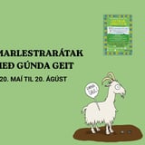 Sumarlestrarátak 2026 | Summer reading challenge