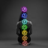 Journey Through the Chakras - 50 hour course with Klara