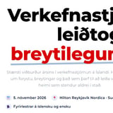 Verkefnastjórinn - Leiðtogi í breytilegum heimi