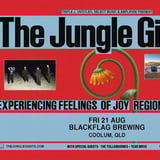 The Jungle Giants - Experiencing Feelings of Joy Tour - Coolum 