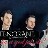 FLYGELSERIEN: TENORANE OG STEFFEN HORN - "SÅ HA EI GOD JUL, DÅ!"