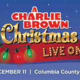 A Charlie Brown Christmas - Live On Stage!