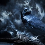 Edgar Allan Poe Speakeasy