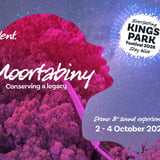 Moortabiny