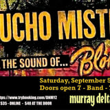 Mucho Mistrust – The Sound and Spirit of Blondie on stage