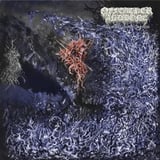 Of Feather and Bone + Civerous