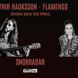 Sumartónar á Snorrabar - Reynir Hauksson Flamengo