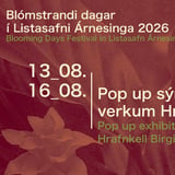 Pop up sýning í safnbúð með verkum Hrafnkels Birgissonar