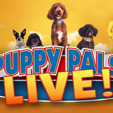 Puppy Pals Live