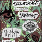 Bloodlust | Mourning Glory | Elseweyr